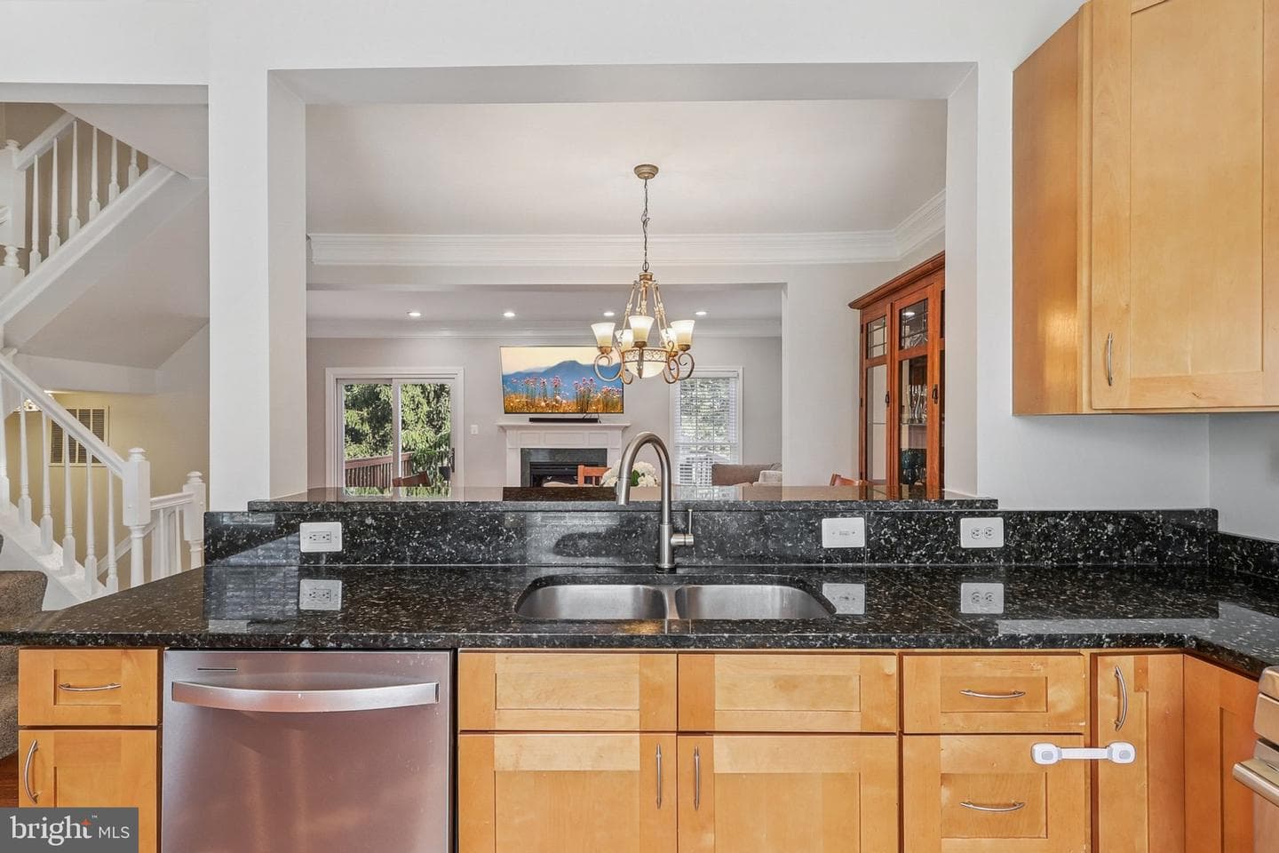 43218 Chokeberry Square photo 11