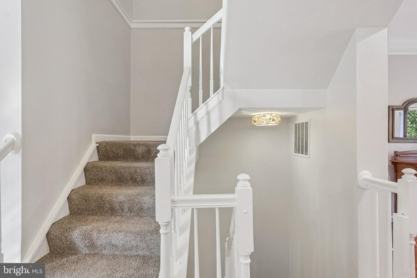 43218 Chokeberry Square photo 13