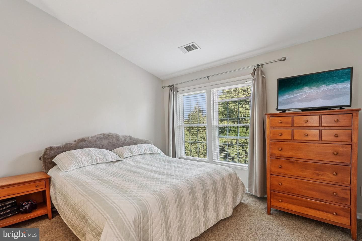 43218 Chokeberry Square photo 15