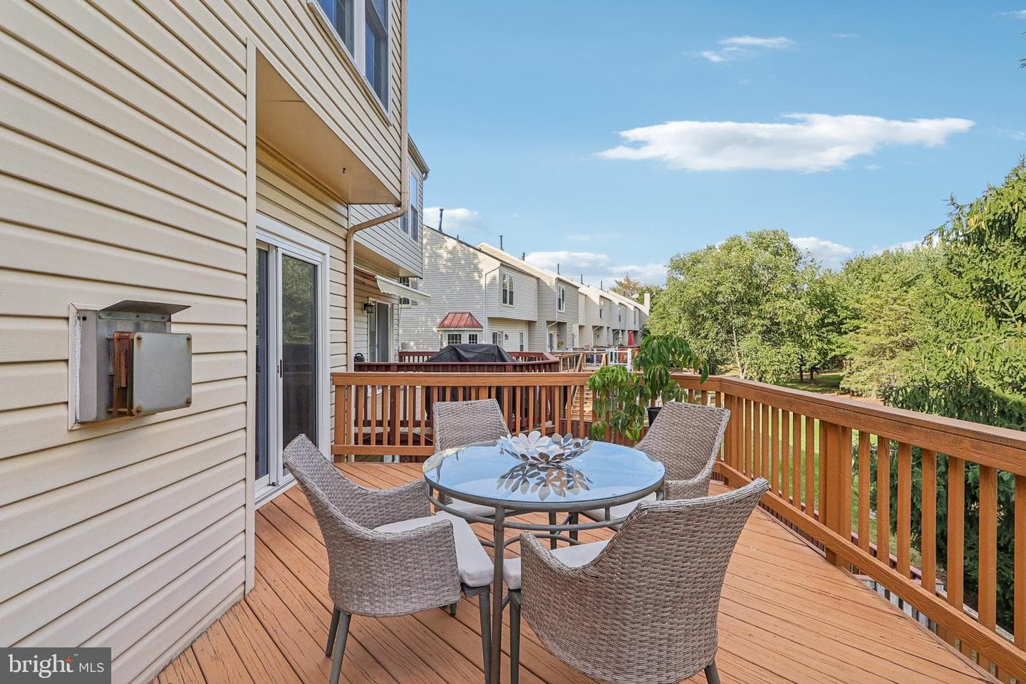 43218 Chokeberry Square photo 33