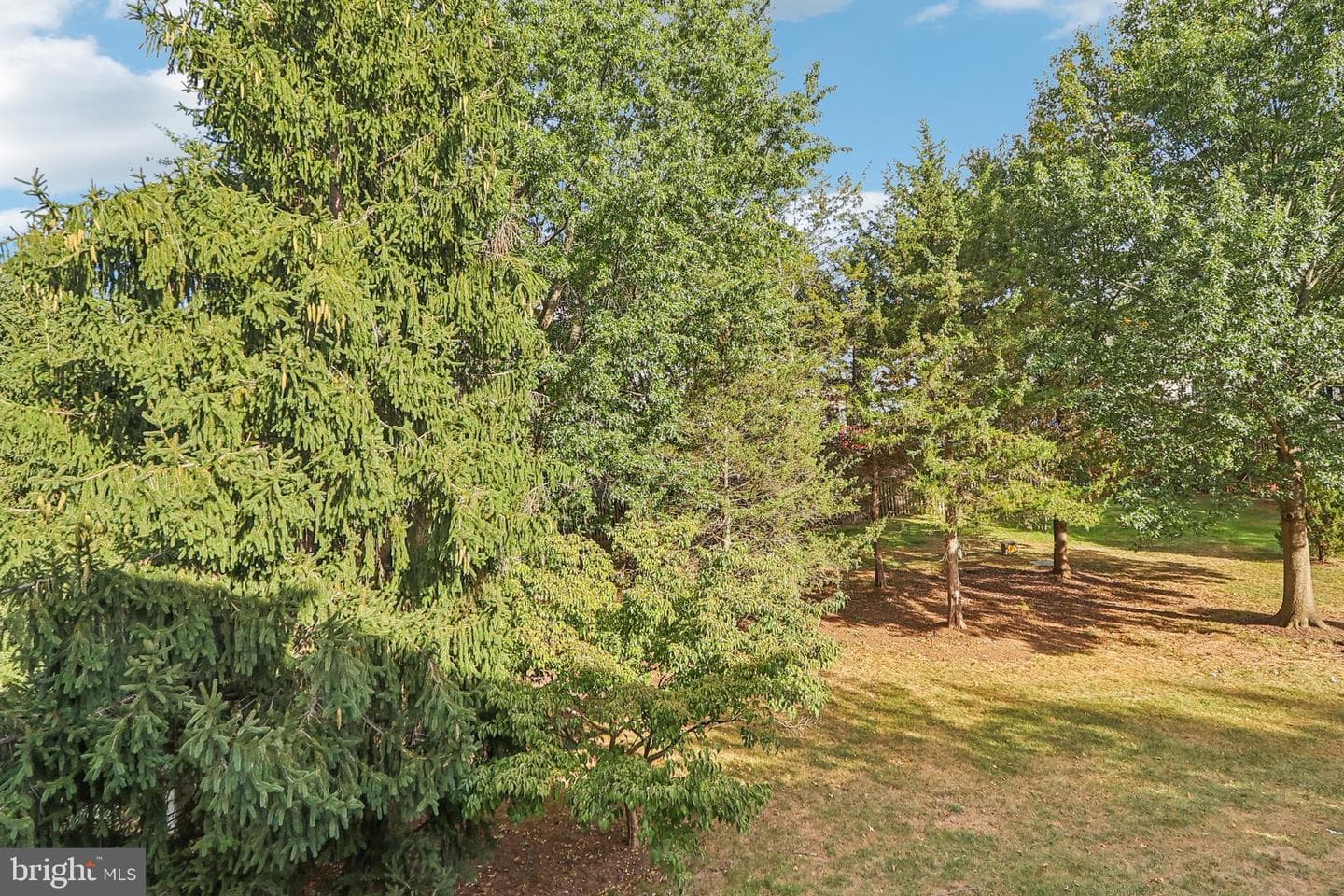 43218 Chokeberry Square photo 36