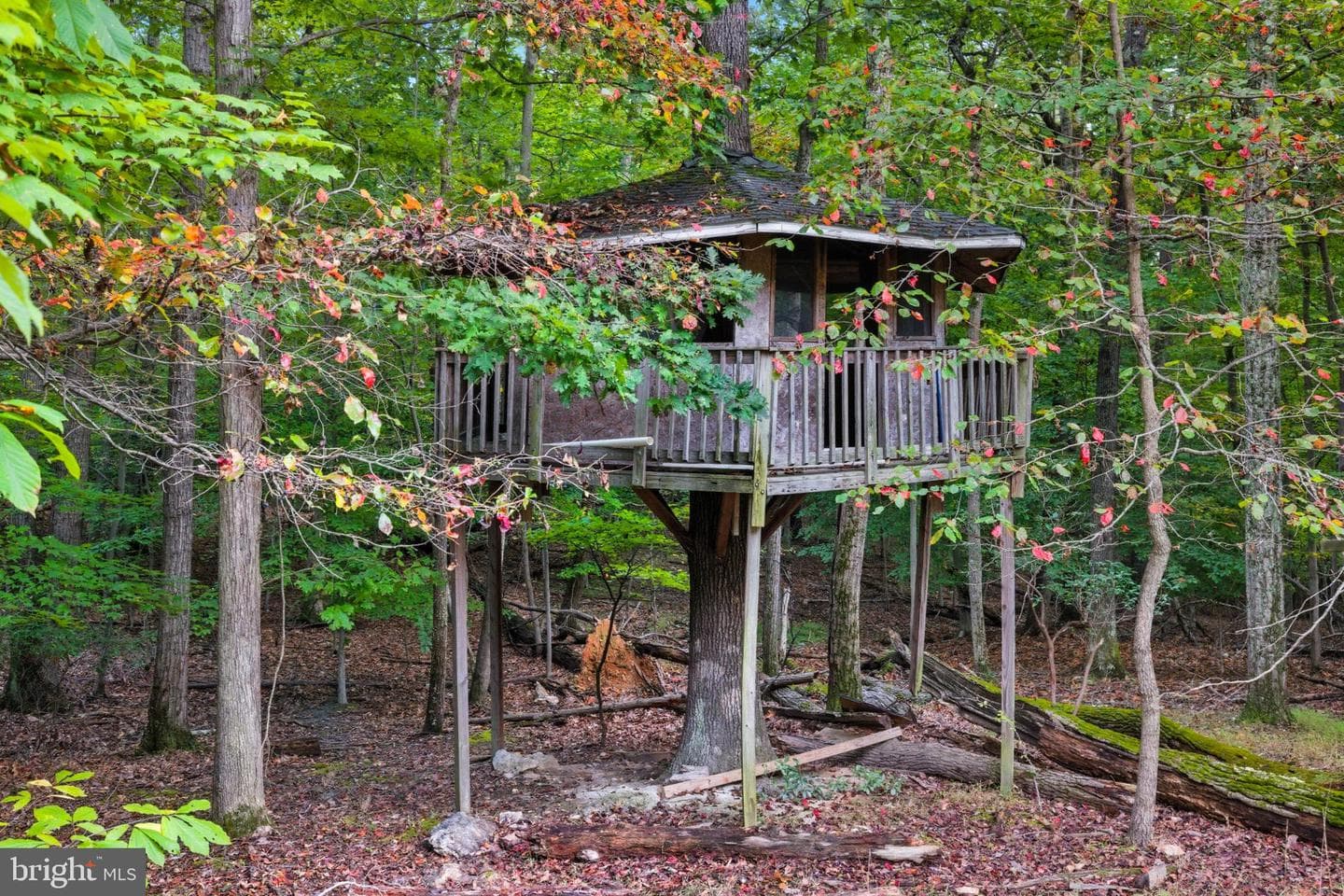 14388 Waterford Woods Court photo 71