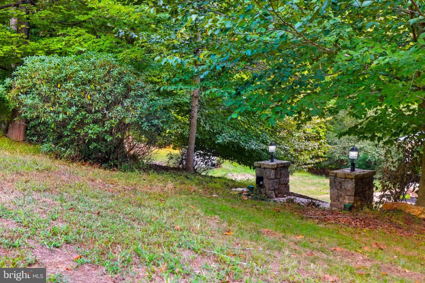 14388 Waterford Woods Court photo 76