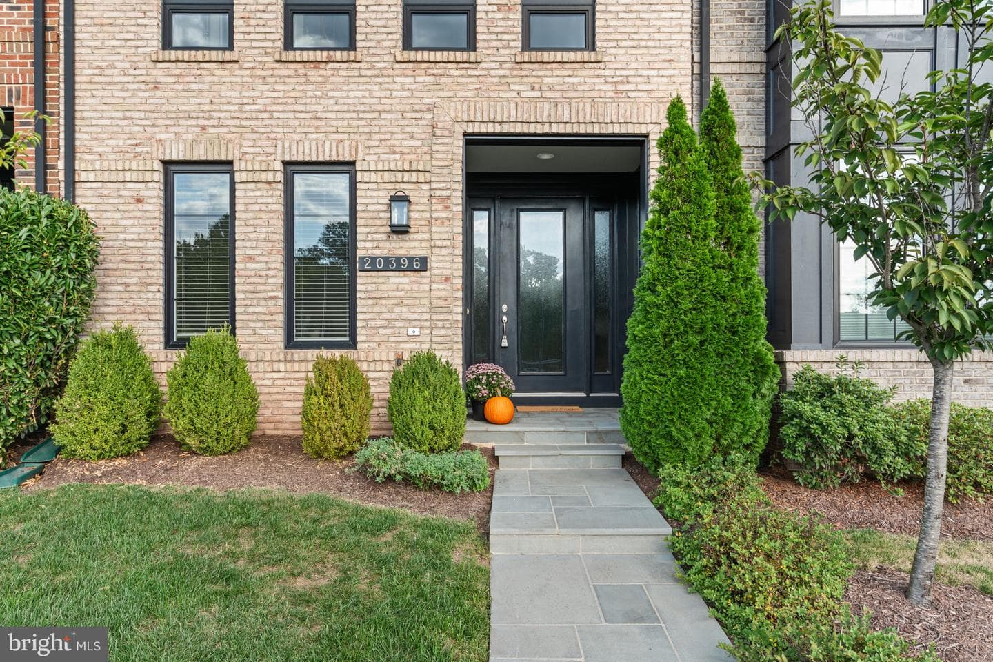 20396 Roslindale Drive photo 6