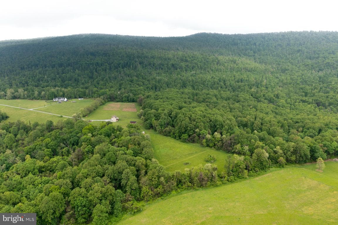 14607 Summit View Lane photo 49