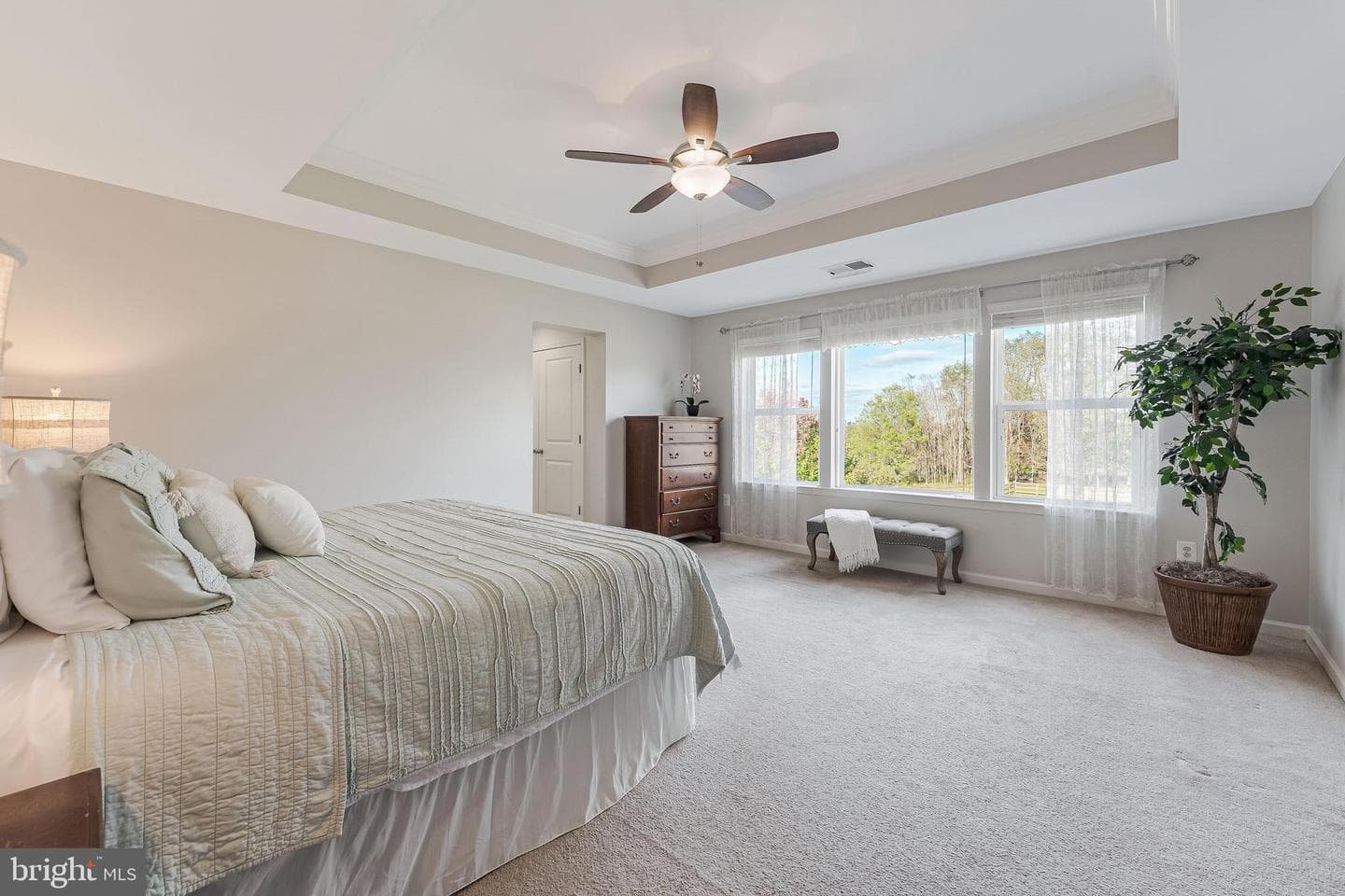 12080 Sunflower Field Place photo 39