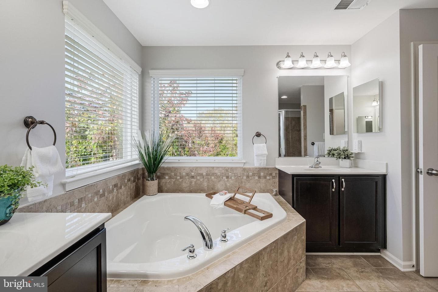 12080 Sunflower Field Place photo 46