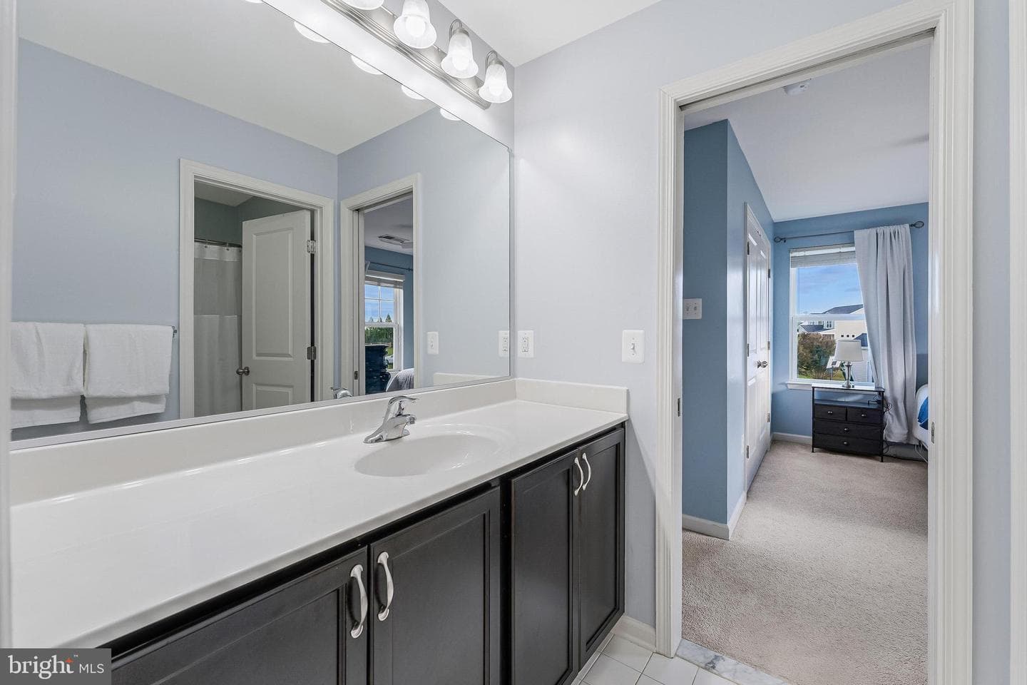 12080 Sunflower Field Place photo 58
