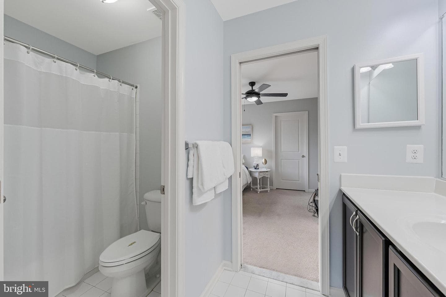 12080 Sunflower Field Place photo 59