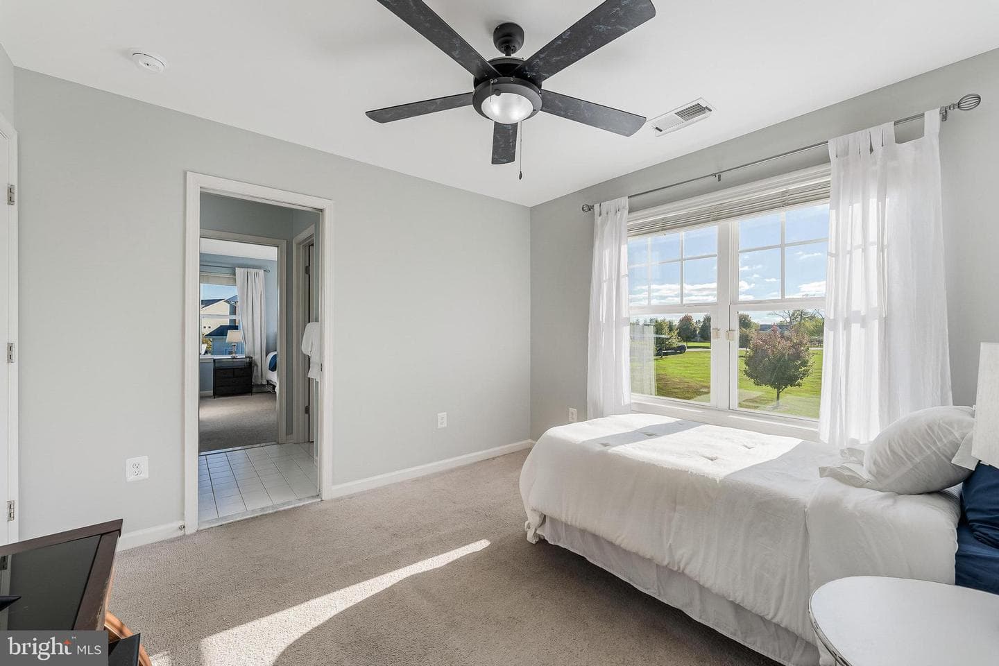 12080 Sunflower Field Place photo 60