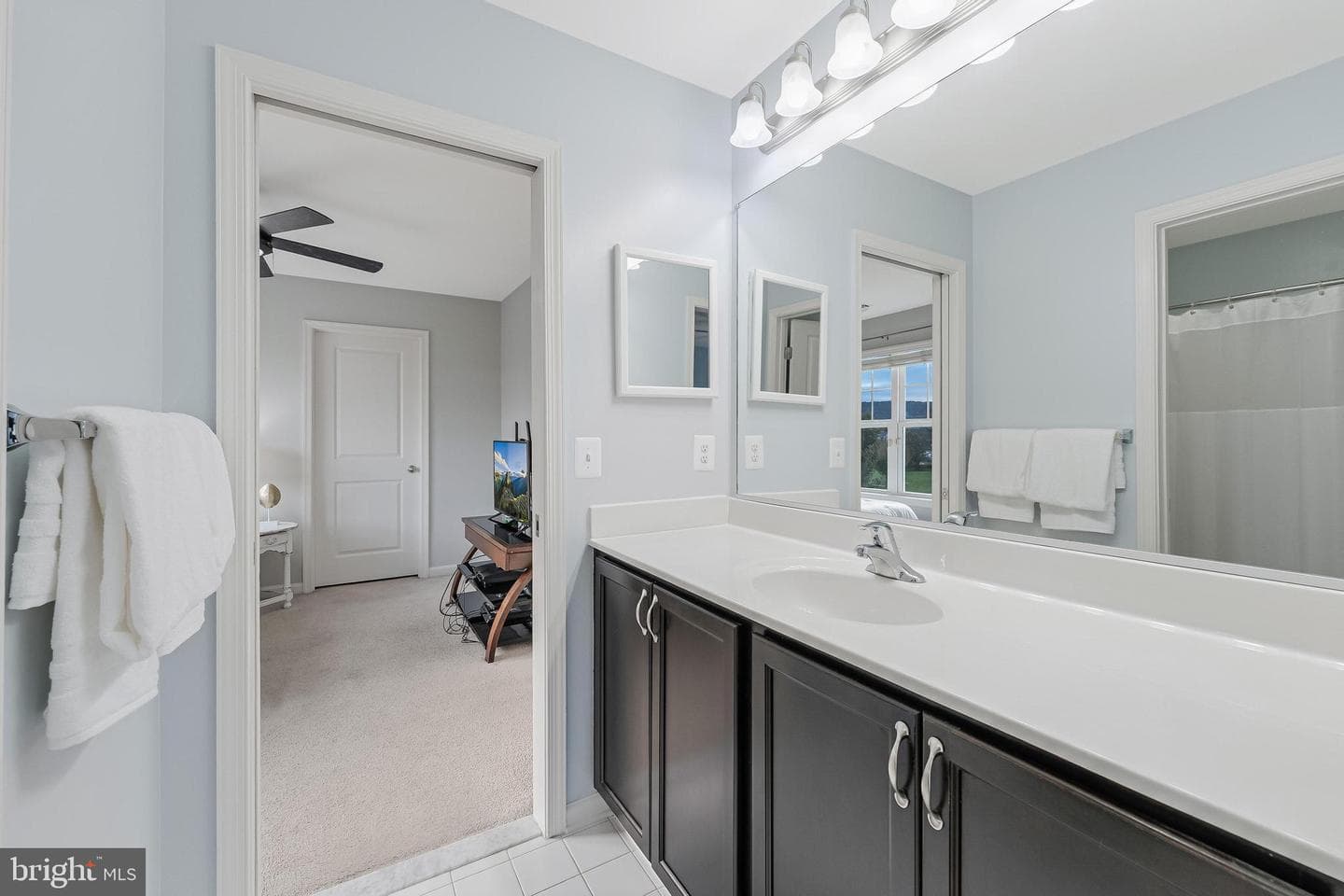 12080 Sunflower Field Place photo 65