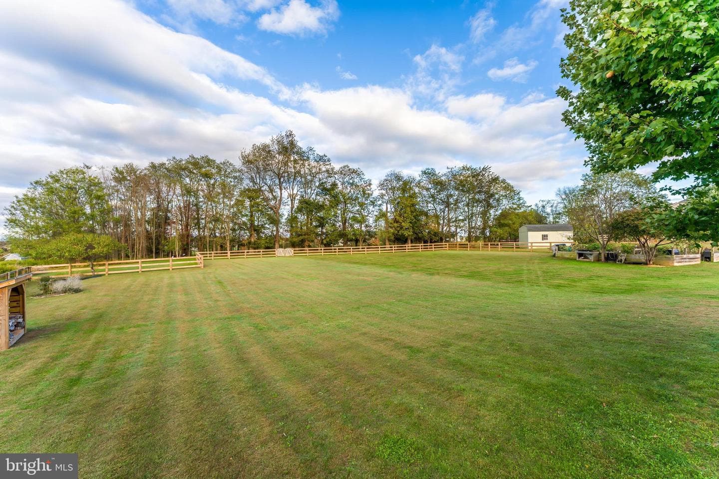 12080 Sunflower Field Place photo 87