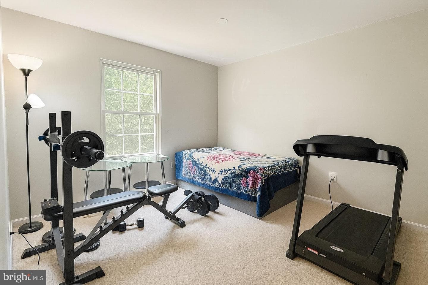 21 Haxall Court photo 9