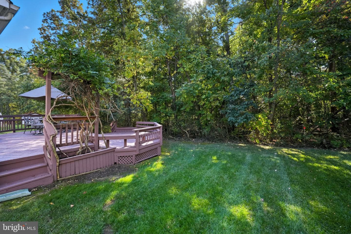 21507 Tithables Circle photo 51