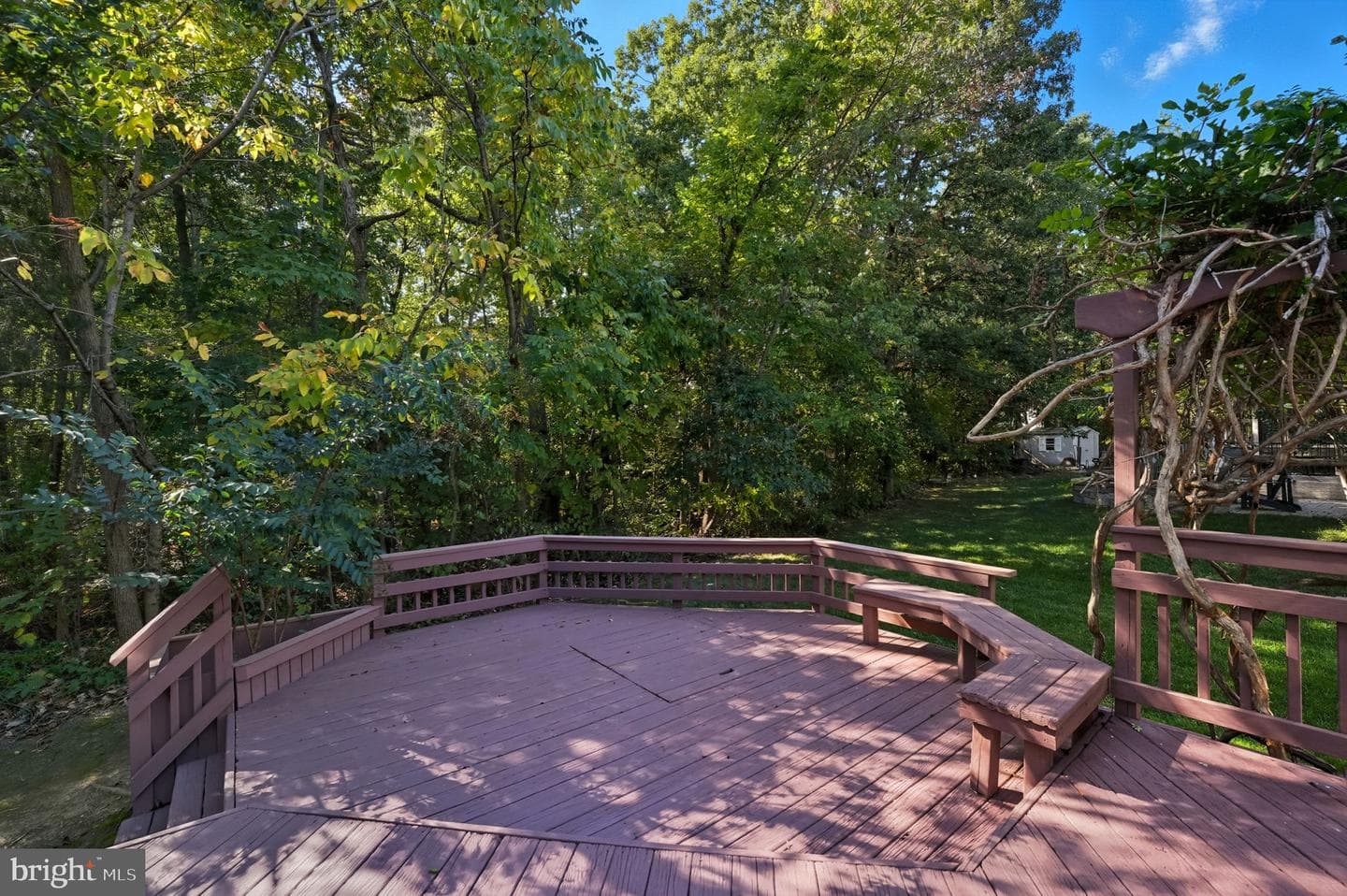 21507 Tithables Circle photo 54