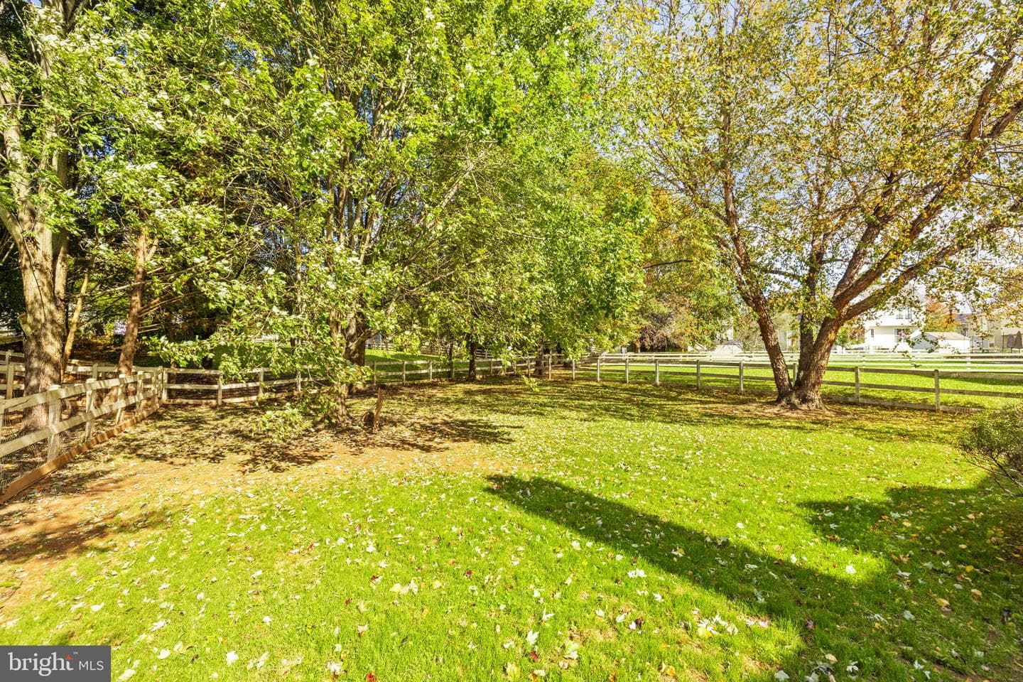 35804 Park Heights Circle photo 21