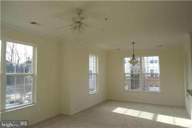 43920 Hickory Corner Terrace #111 photo 3