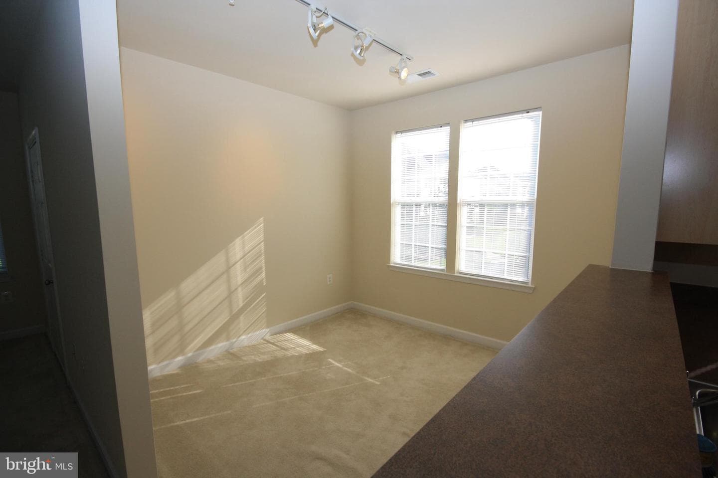 22691 Blue Elder Terrace #204 photo 10
