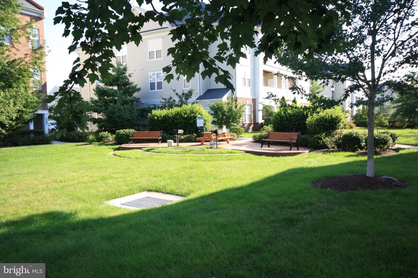 22691 Blue Elder Terrace #204 photo 21