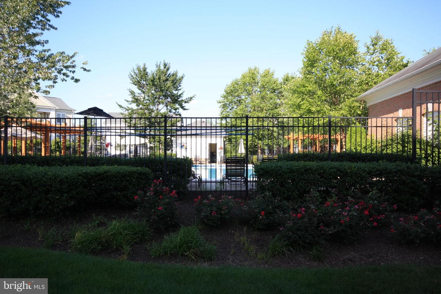 22691 Blue Elder Terrace #204 photo 23