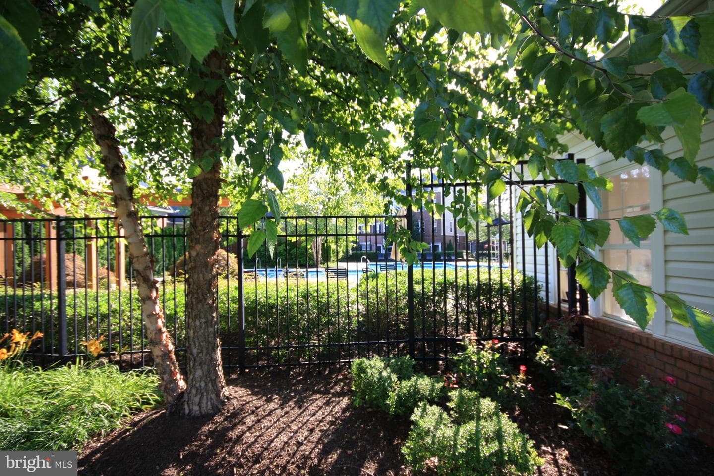 22691 Blue Elder Terrace #204 photo 26