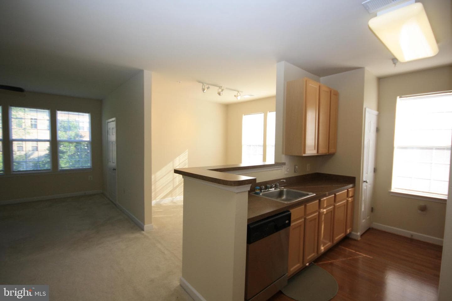 22691 Blue Elder Terrace #204 photo 7