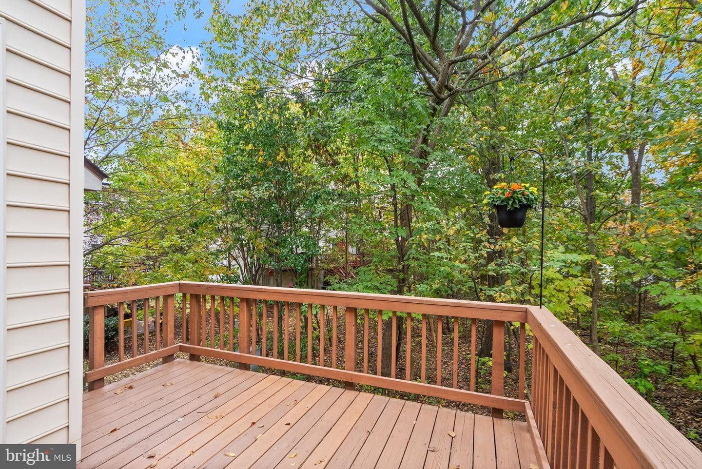 43107 Sherbrooke Terrace photo 33
