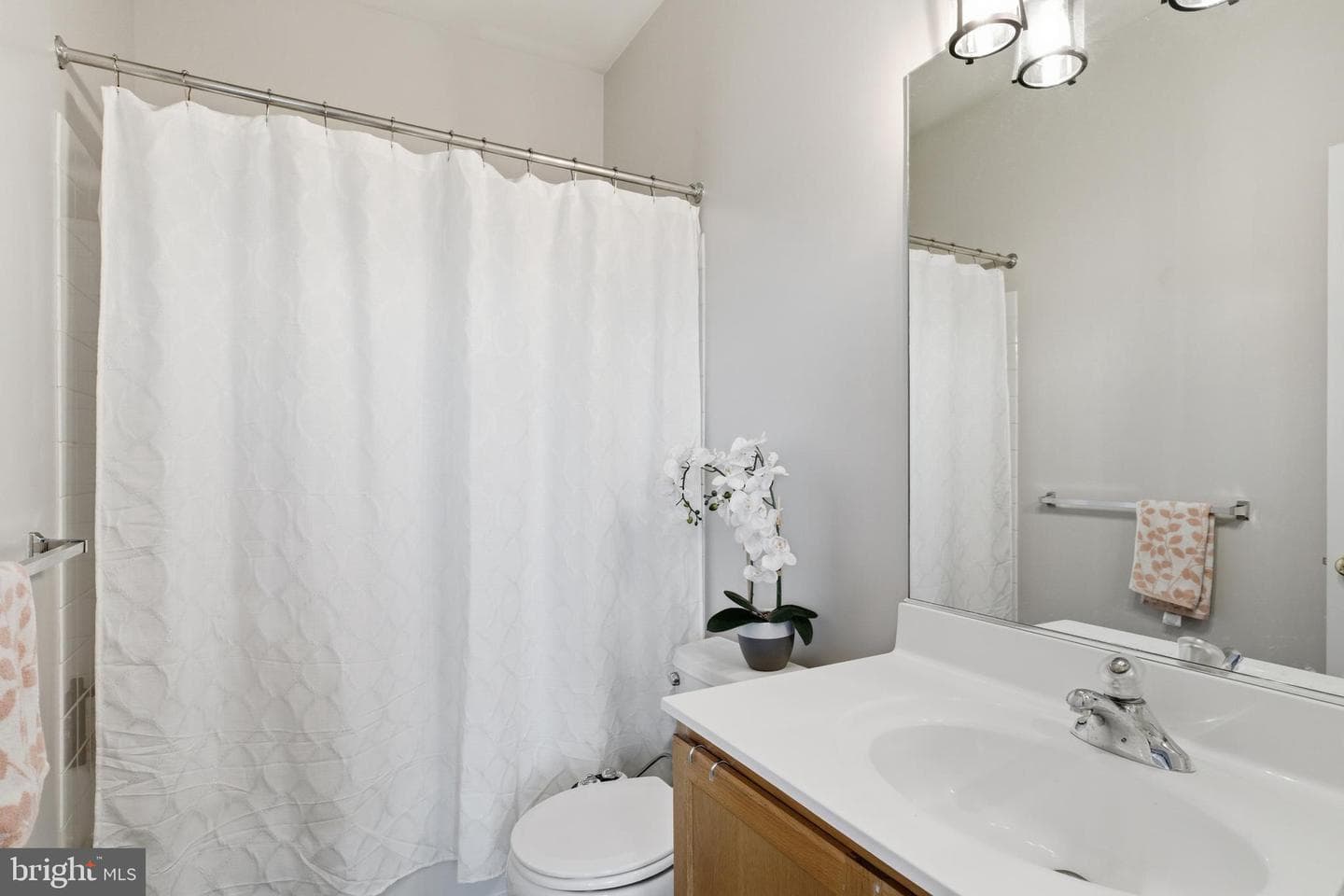 25065 Riding Center Drive photo 23