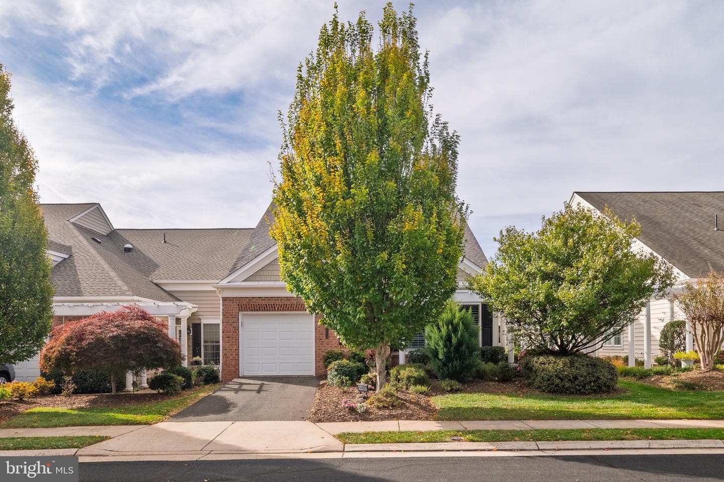 44489 Maltese Falcon Square photo 1