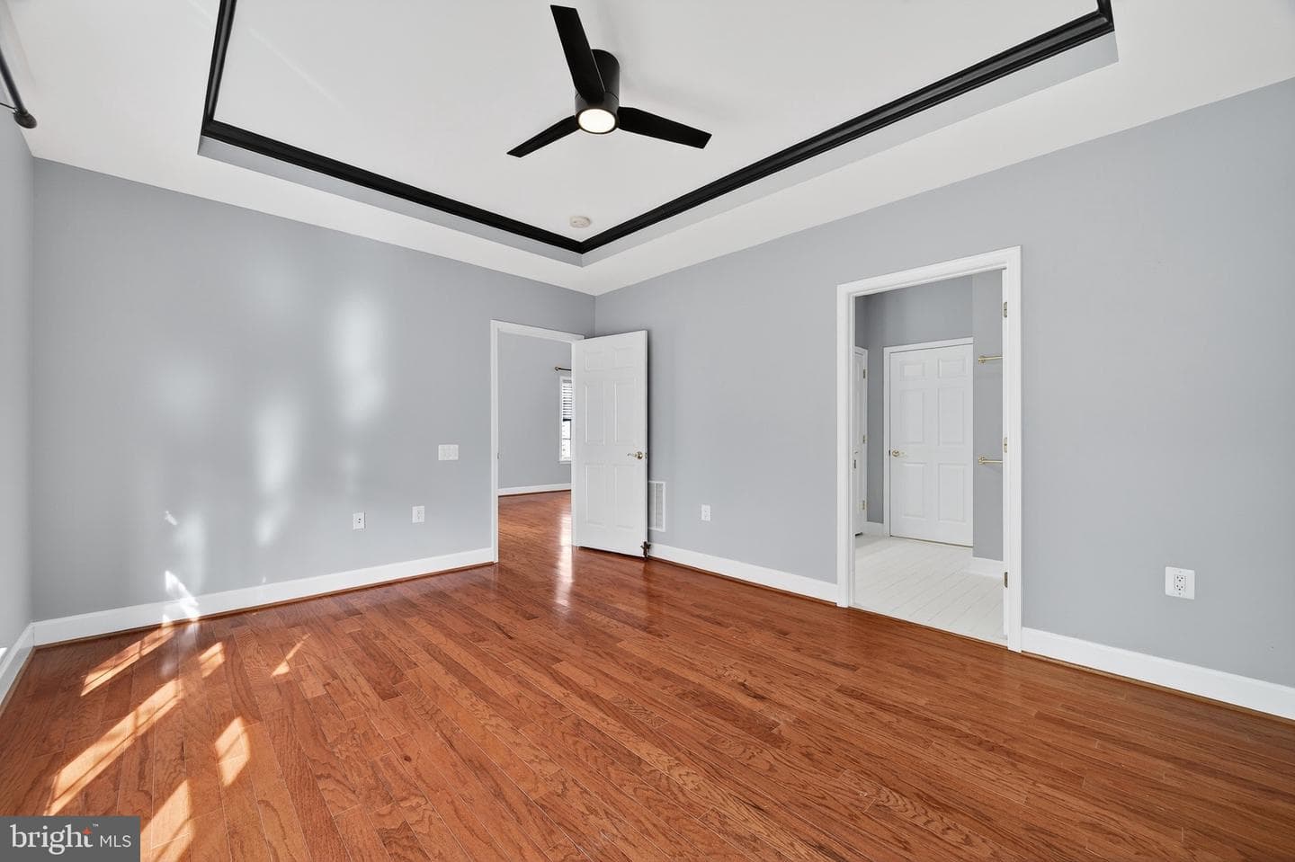 44489 Maltese Falcon Square photo 26