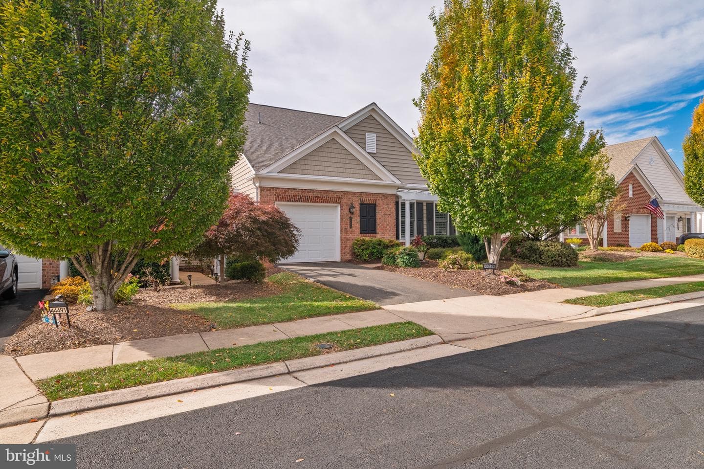 44489 Maltese Falcon Square photo 3