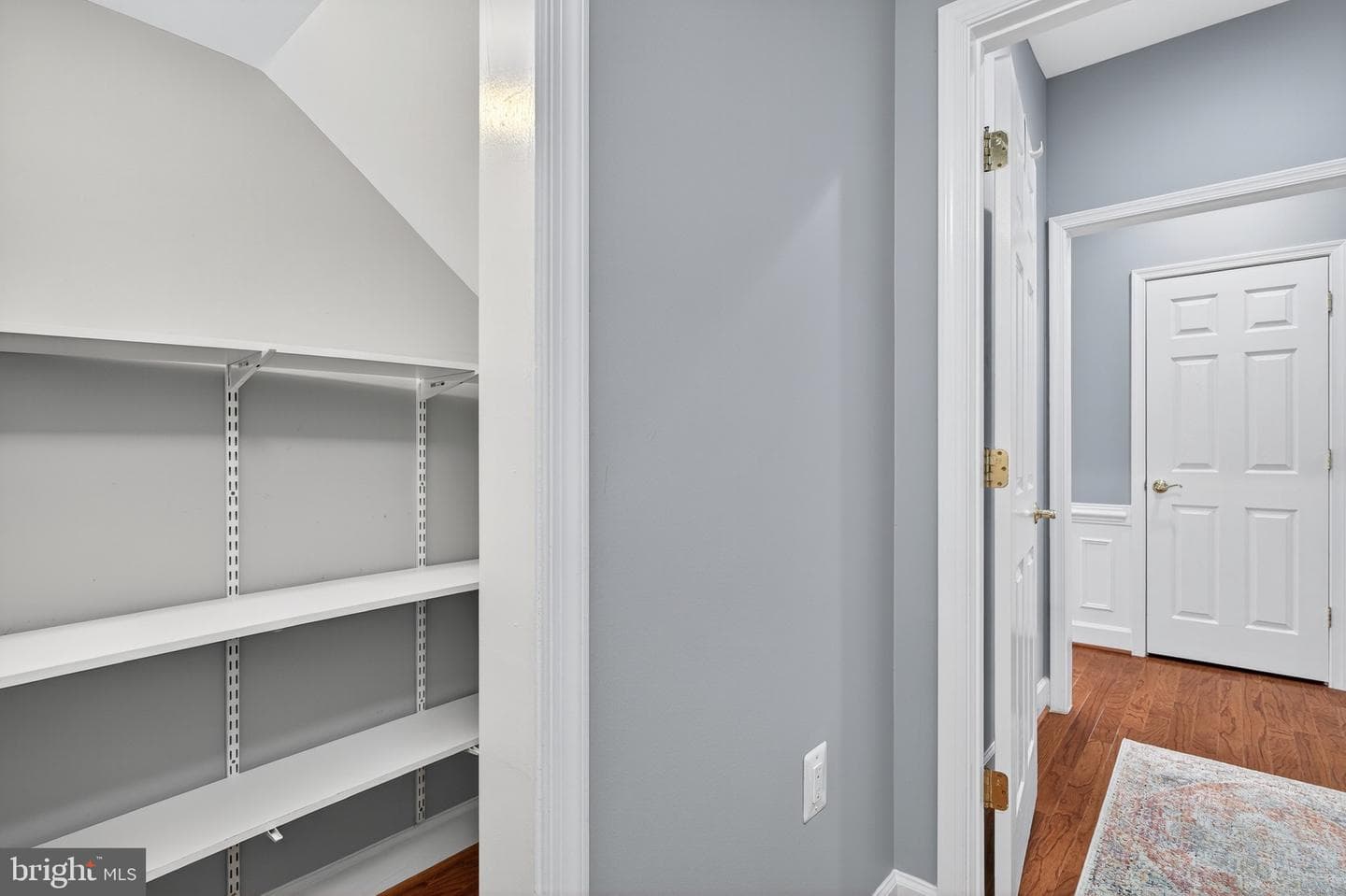 44489 Maltese Falcon Square photo 34