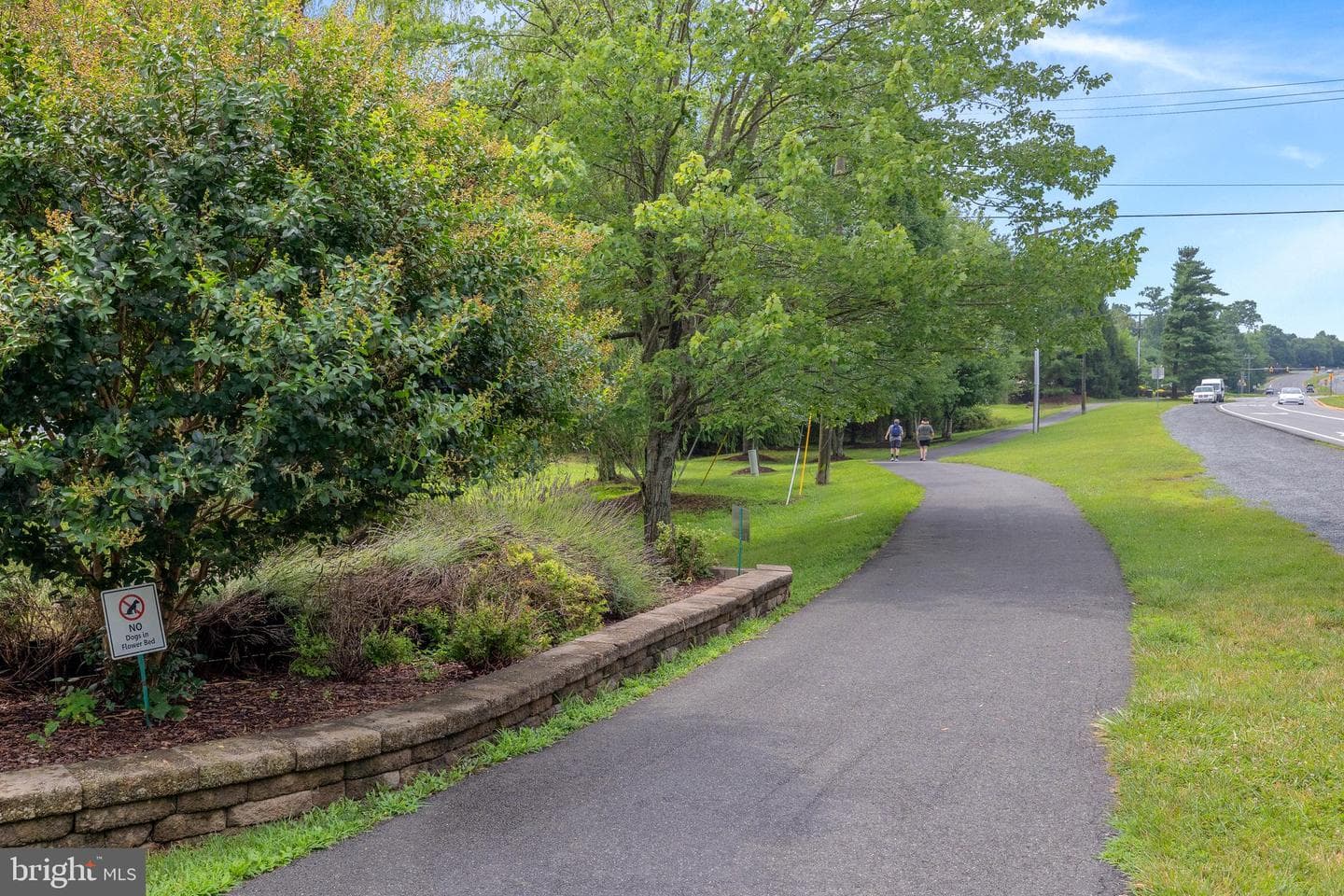 20366 Clover Field Terrace photo 100