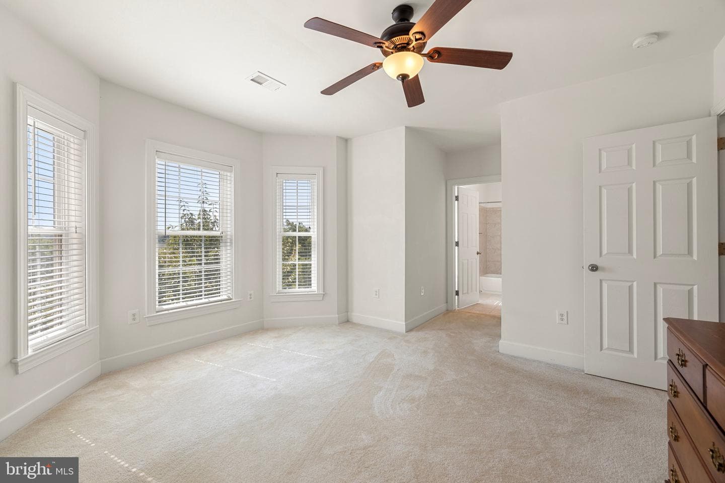 40752 Canongate Drive photo 64