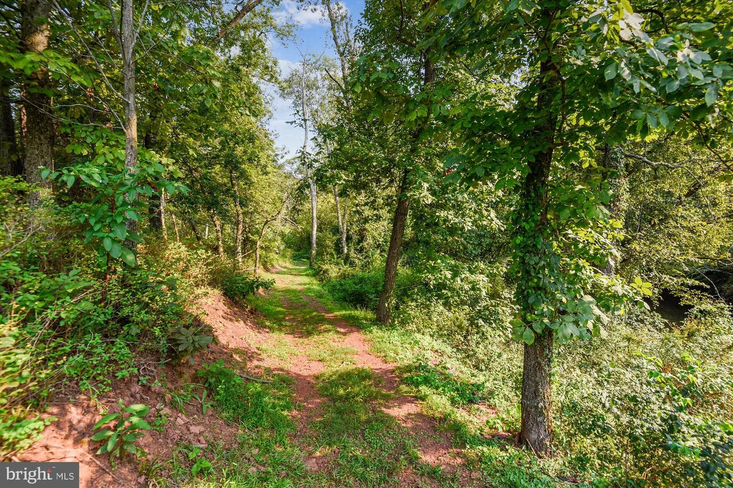 20694 Wood Quay Drive photo 45