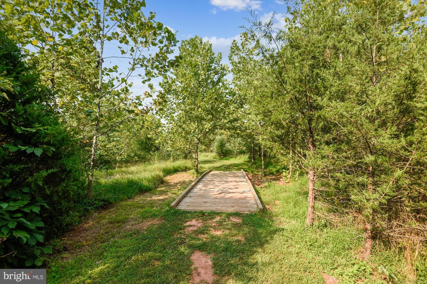 20694 Wood Quay Drive photo 46