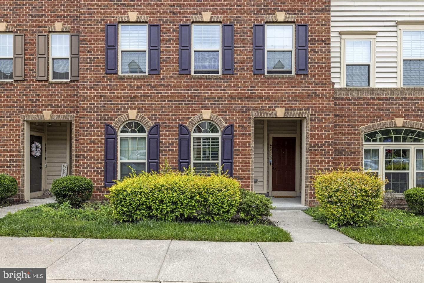 42230 Piebald Square photo 3