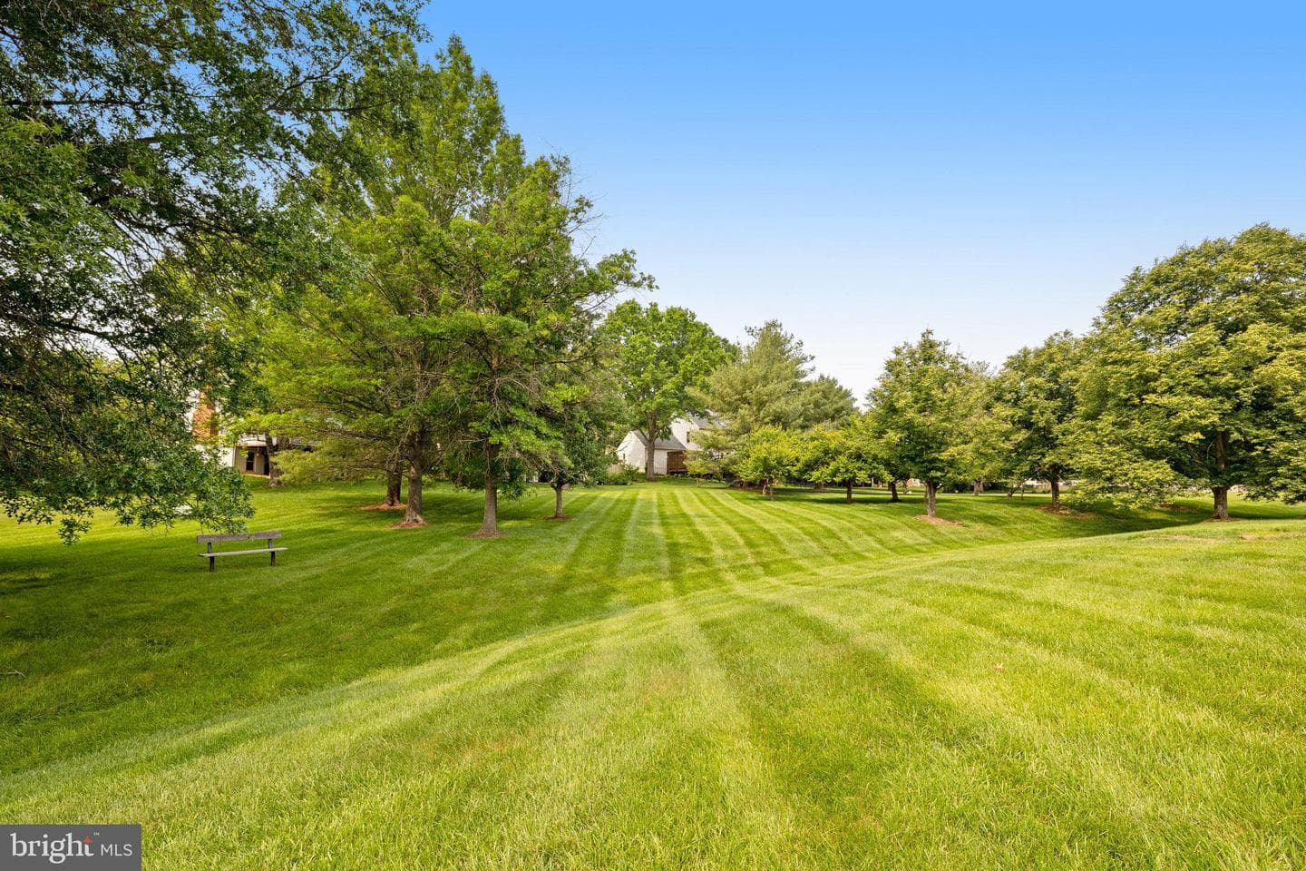 30 Quincy Court photo 45