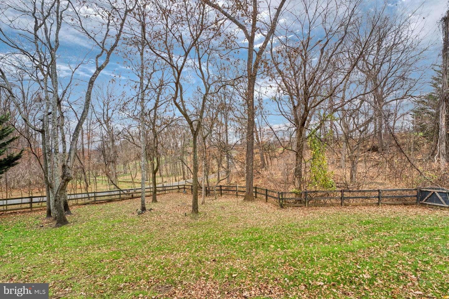 40398 Beacon Hill Drive photo 88