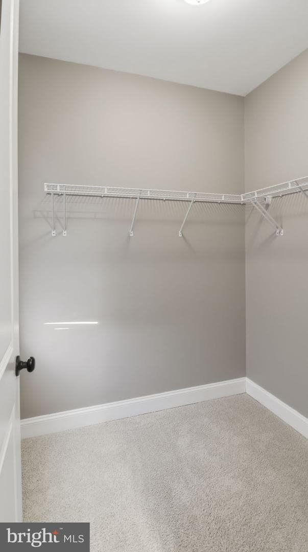 25956 Cullen Run Place photo 68