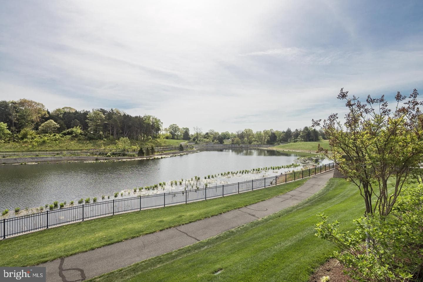 22315 Tees Terrace photo 63