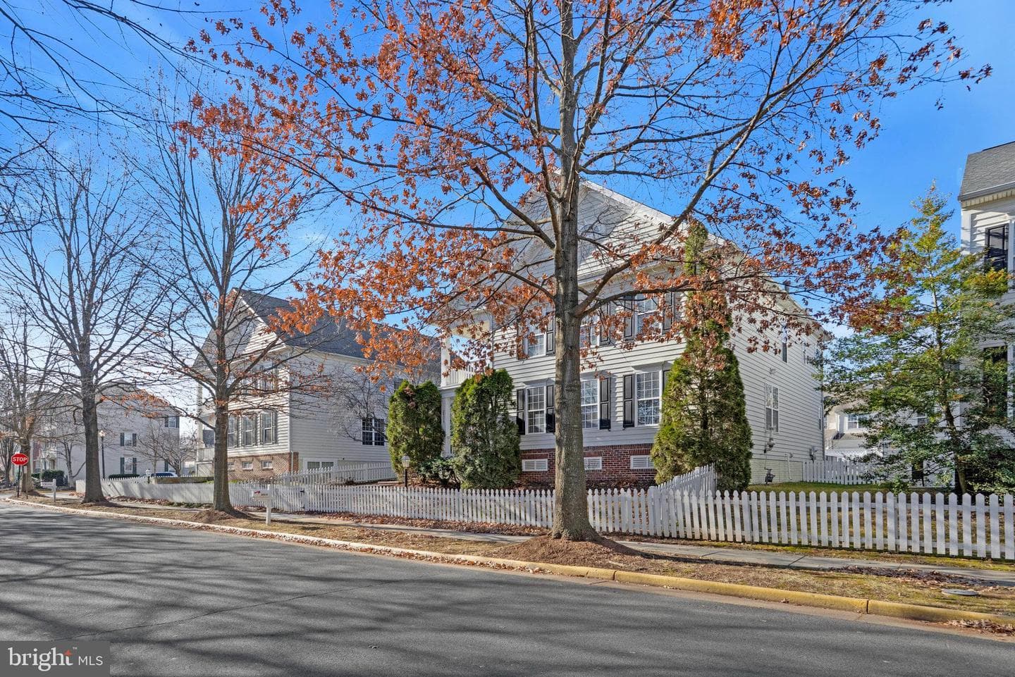 20319 Bowfonds Street photo 11