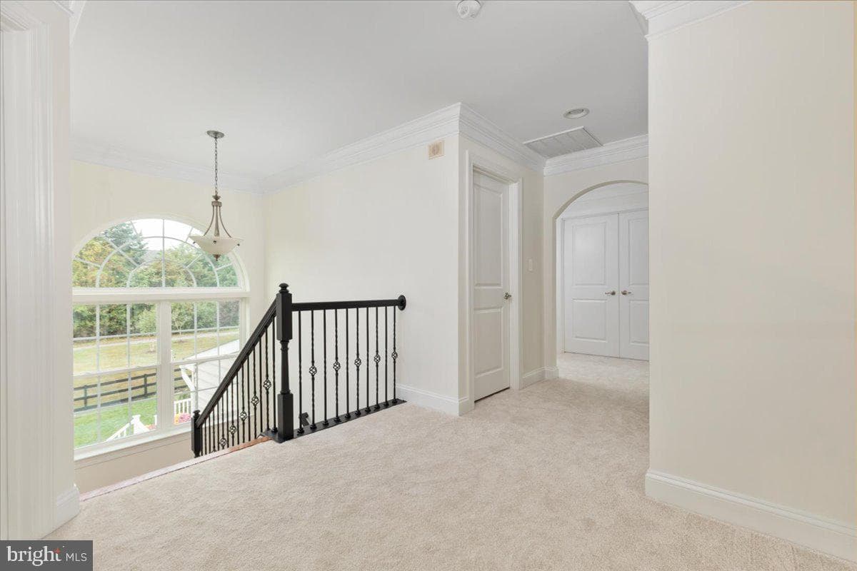 24117 Statesboro Place photo 22
