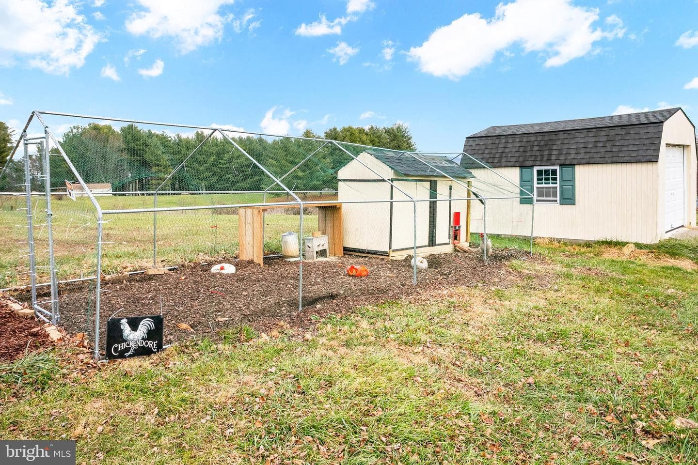 11946 Ropp Lane photo 34