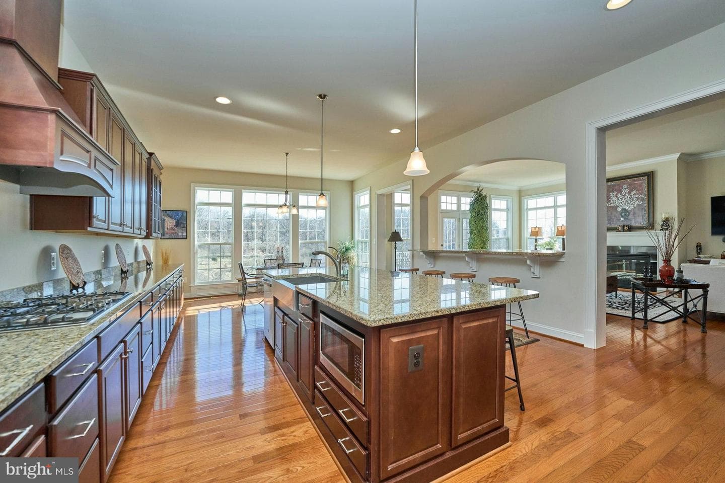 41019 Taylor Ridge Lane photo 13