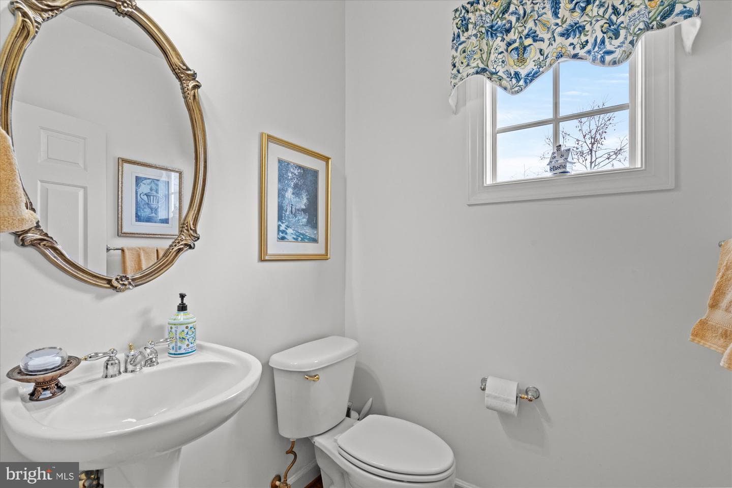 43041 Lago Stella Place photo 10