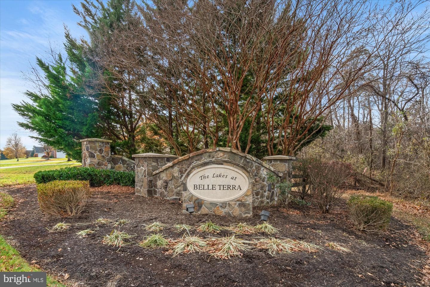43041 Lago Stella Place photo 50