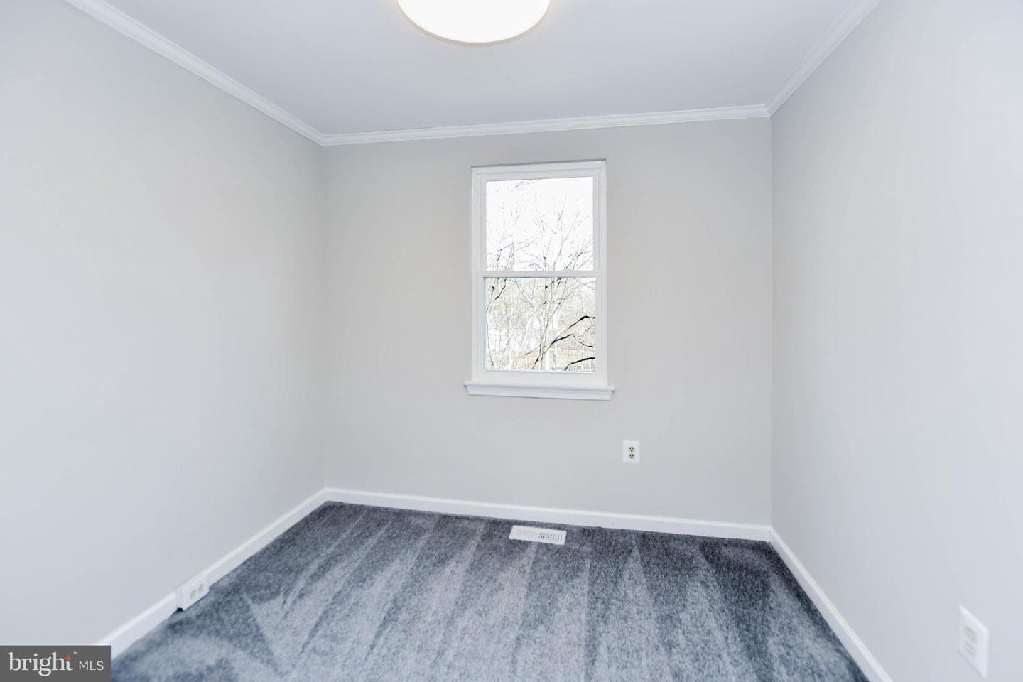 9 Dorrell Court photo 20
