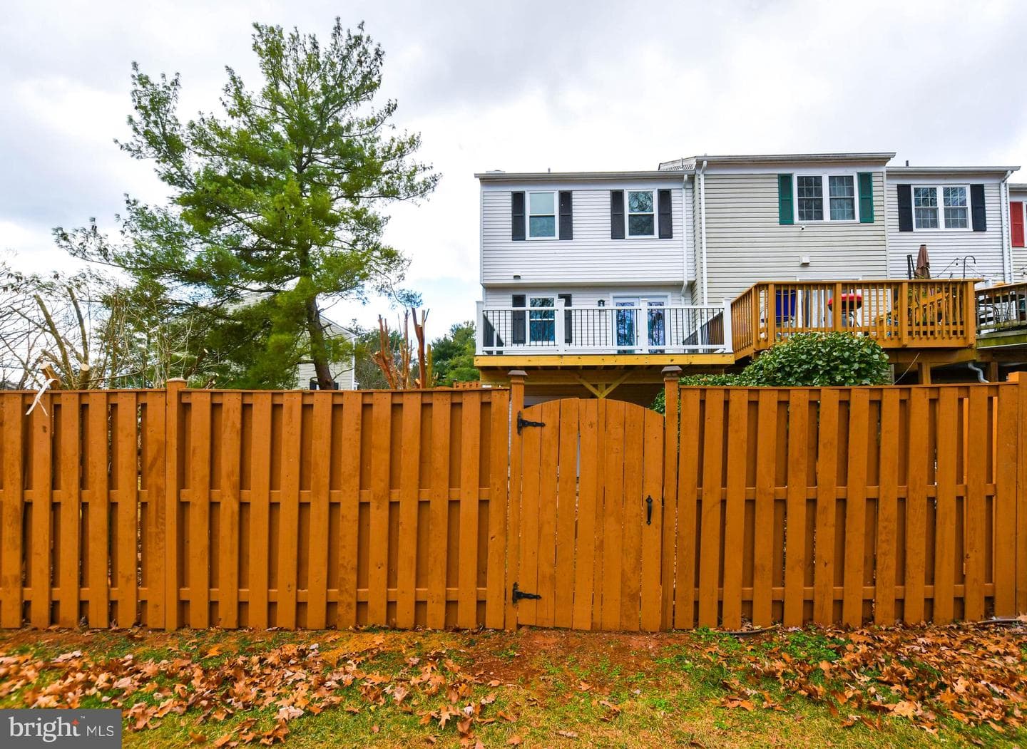 9 Dorrell Court photo 32
