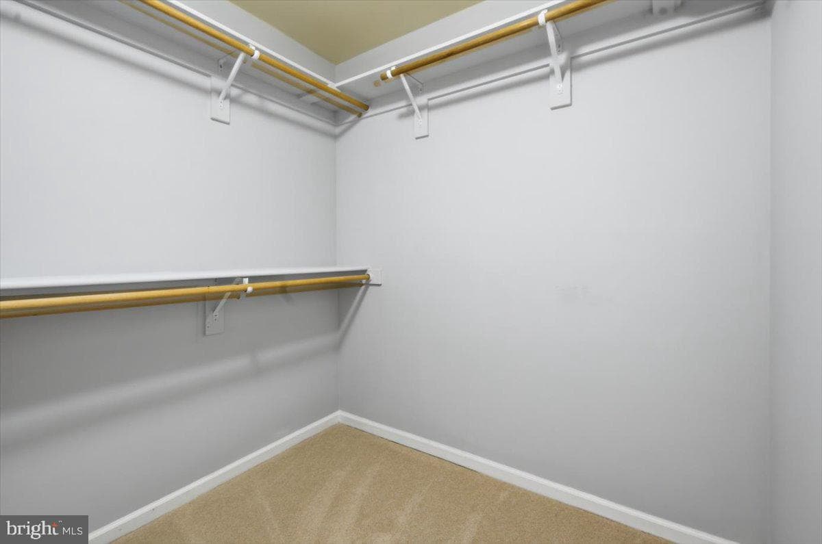 42466 Regal Wood Drive photo 24